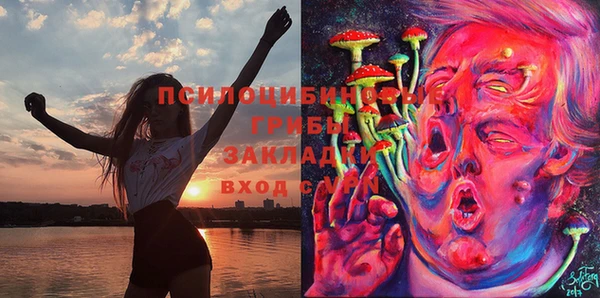 гашик Армянск