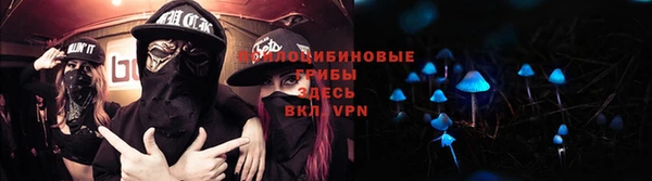 гашик Армянск