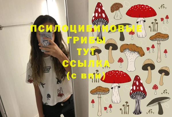 дурь Арсеньев