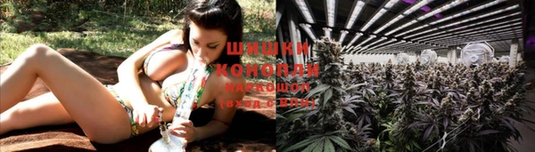 гашик Армянск