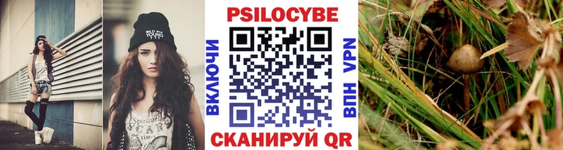 Псилоцибиновые грибы мухоморы  Купить закладки  Ветлуга 