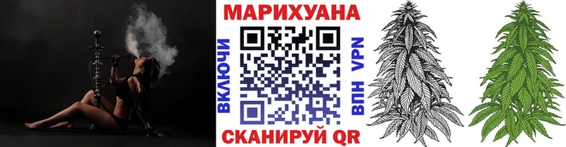 Купить где  Ветлуга  Канабис семена 